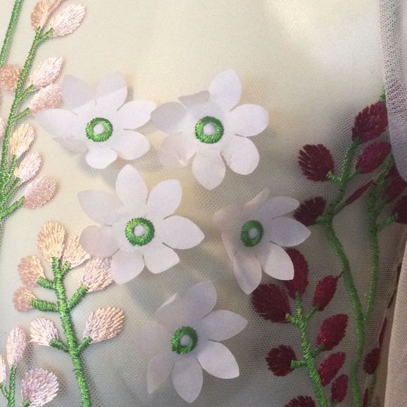 Zara blush sheer tulle mesh floral embroidered top - Picture 6 of 14